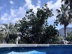 -济州山房山碳酸温泉