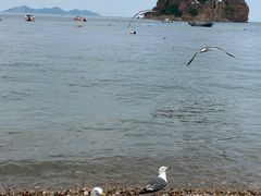 -棒棰岛宾馆景区