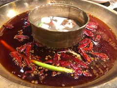 -Xiao Long Kan Hotpot Sydney 小龙坎老火锅