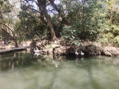 -兰亭风景区