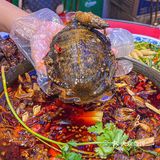 笑傲江湖菜不是网红但很火爆！！！