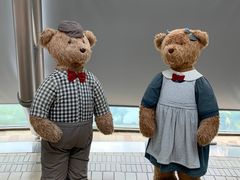 -济州岛泰迪熊博物馆