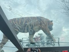 -西霞口神雕山野生动物世界