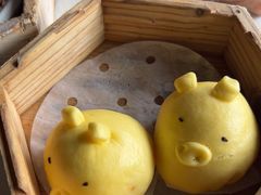 -侨美·唐荔园·40年地道粤菜