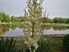 -太阳宫公园