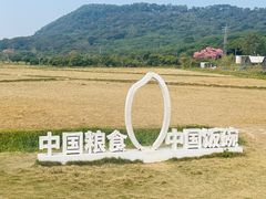 -艾米稻香小镇
