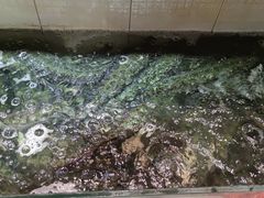 -百岁鱼庄·常州老字号(湖塘店)