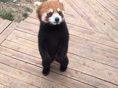 -仙芝竹尖生态园旅游景区