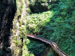 -鹿院坪生态旅游景区