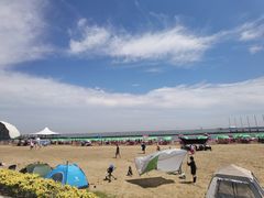 -碧海金沙
