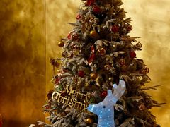 -成都凯宾斯基饭店