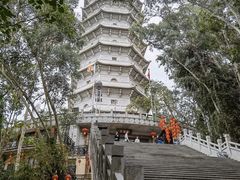 -深圳国际园林花卉博览园