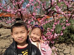 -朝阳公园游乐园