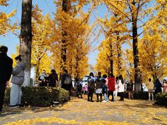 -两江幸福广场