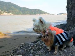 -东海半边山旅游度假区
