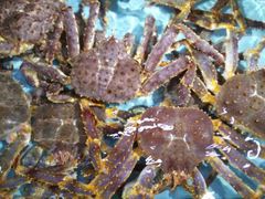 阿拉斯加蟹-渔民新村(番禺总店)