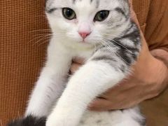 -瑞鹏宠物医院·宠保定点·心脏科·内科(御桥分院)