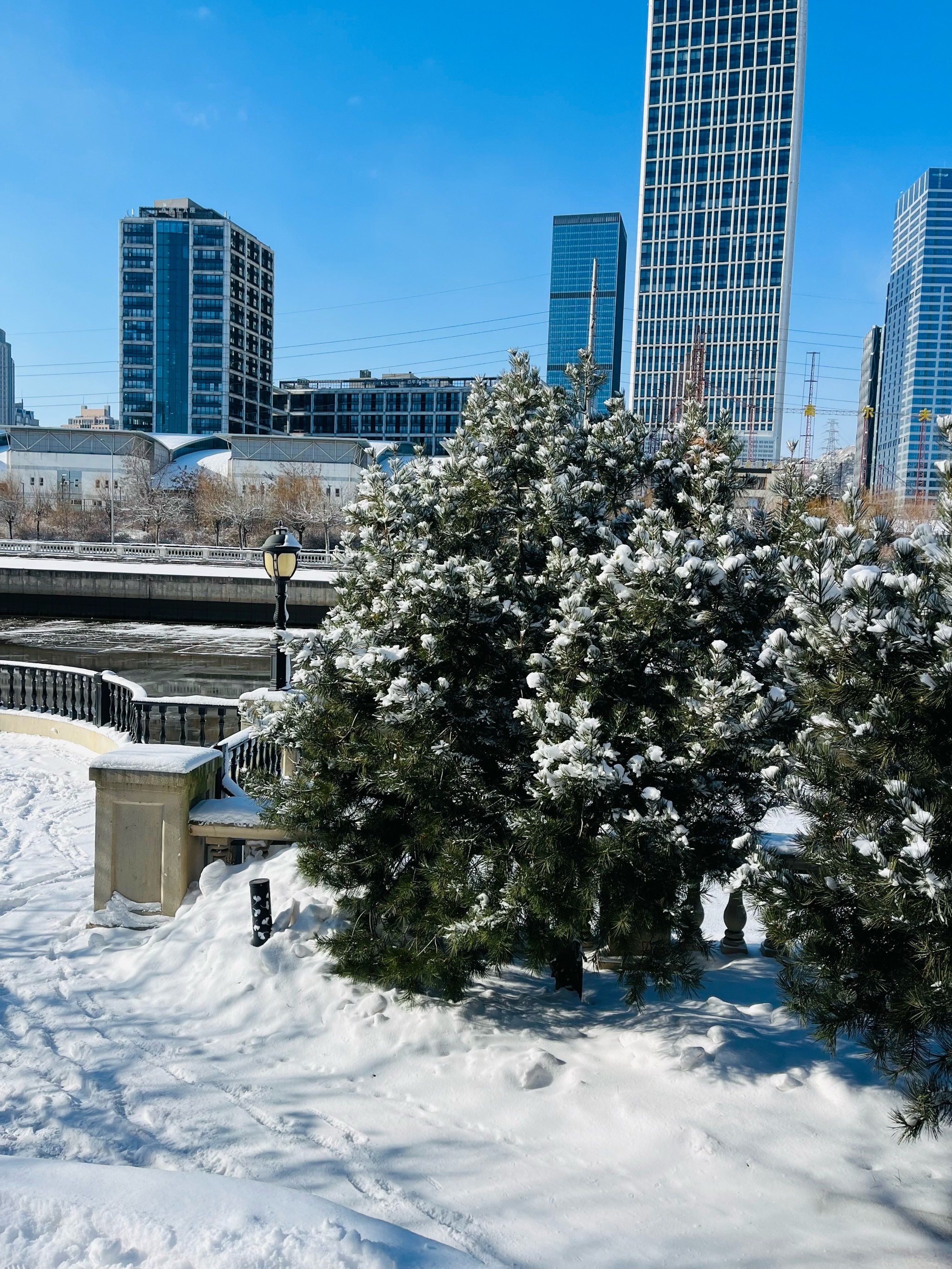 大运河森林公园雪景图片