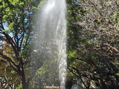 -九龙公园