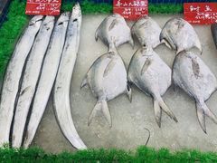 -骏莱海鲜鱼港(五角场店)