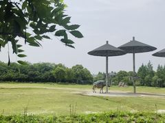 -宁波野生动物园