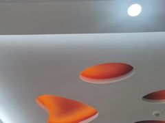 -全心全意连锁动物医院·微创中心·内科急重症·心脏专科(丰管路店)
