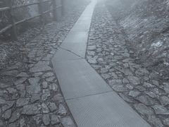 -东天目山风景区