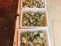 -爱蚝屋