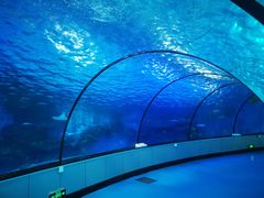 -泉城欧乐堡海洋极地世界