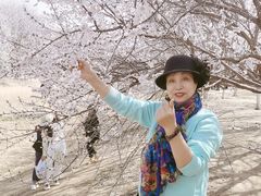 -奥林匹克森林公园北园-停车场