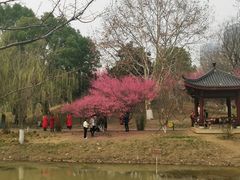 -堤角公园