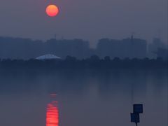 -瑶湖郊野森林公园