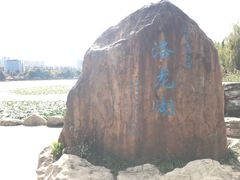 景点-洛龙公园
