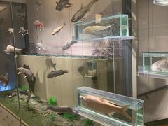 -南通博物苑-崇川人民公园