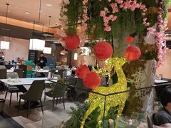 -阿露佳·舌尖上的安吉菜