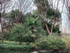 -苏州河梦清园环保主题公园