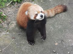 -合肥野生动物园
