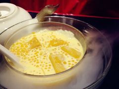 -糖朝(尖沙咀店)