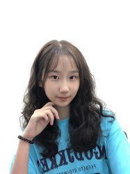 -YESIDO椰岛造型