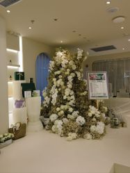 -洛伊科技抗衰护肤中心