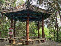 -四门塔风景区