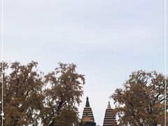 -北京石刻艺术博物馆(五塔寺)