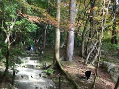 -醍醐寺