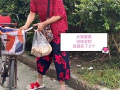 -金杨老摊头蛋饼(金口路店)