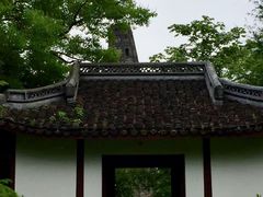 -上海佘山国家森林公园天马山园