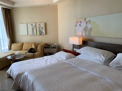 -芽庄喜来登水疗酒店