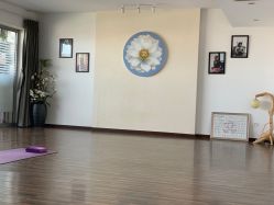 -酉嘉瑜伽YO+YOGA