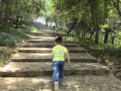 -上海佘山国家森林公园天马山园