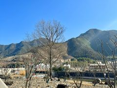 -中国宣纸文化园