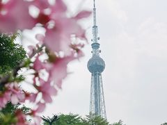 -文华公园(禅城区)